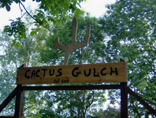 Way out West – the gates of Cactus Gulch 
											– Kay Lovell
