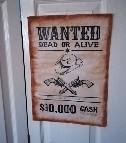Way out West – wanted poster decor ideas 
											– István Dobreán
