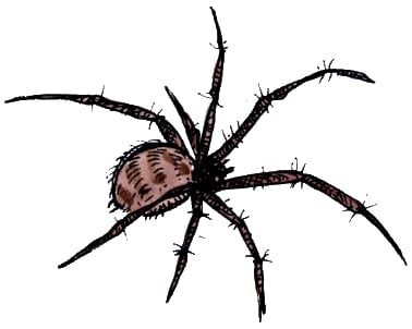 Hairy spider from Monster Mash