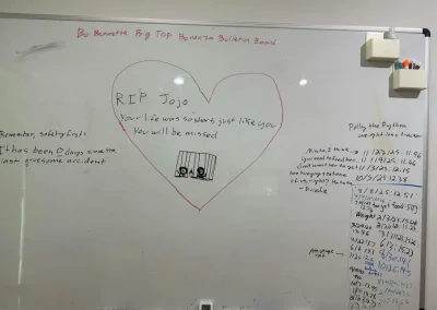 Murder board for Under the Big Top